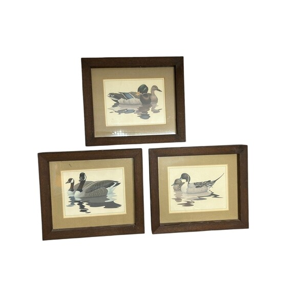 3 Wildlife Vintage Ducks Canadian ￼Goose Art Prints 80s 1980’s, Framed Retro - Picture 1 of 11
